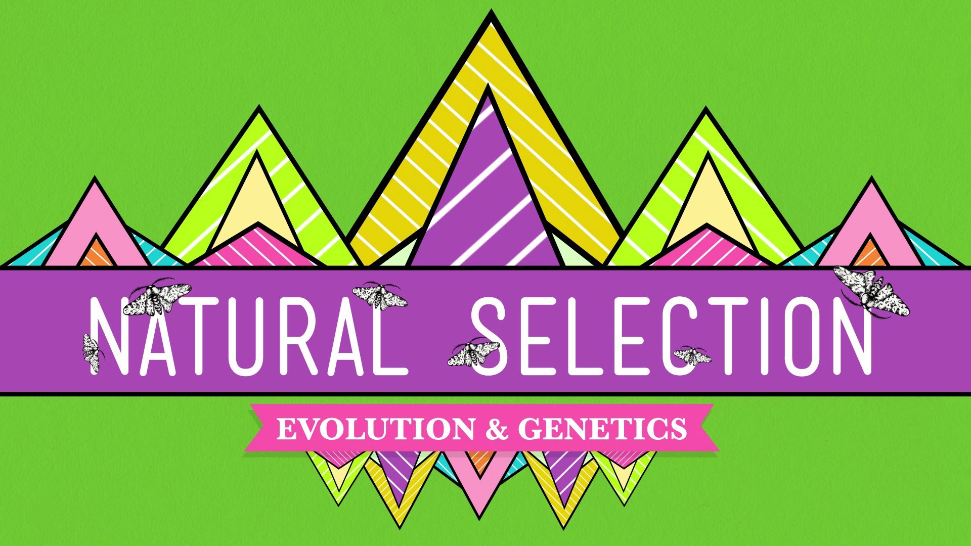 Natural Selection HD wallpapers, Desktop wallpaper - most viewed