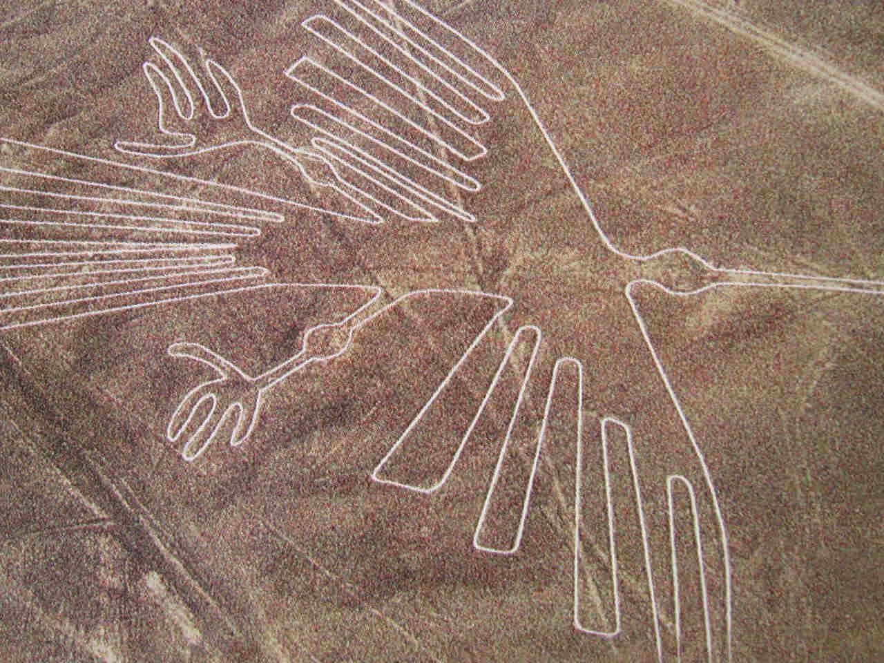 Nazca High Quality Background on Wallpapers Vista