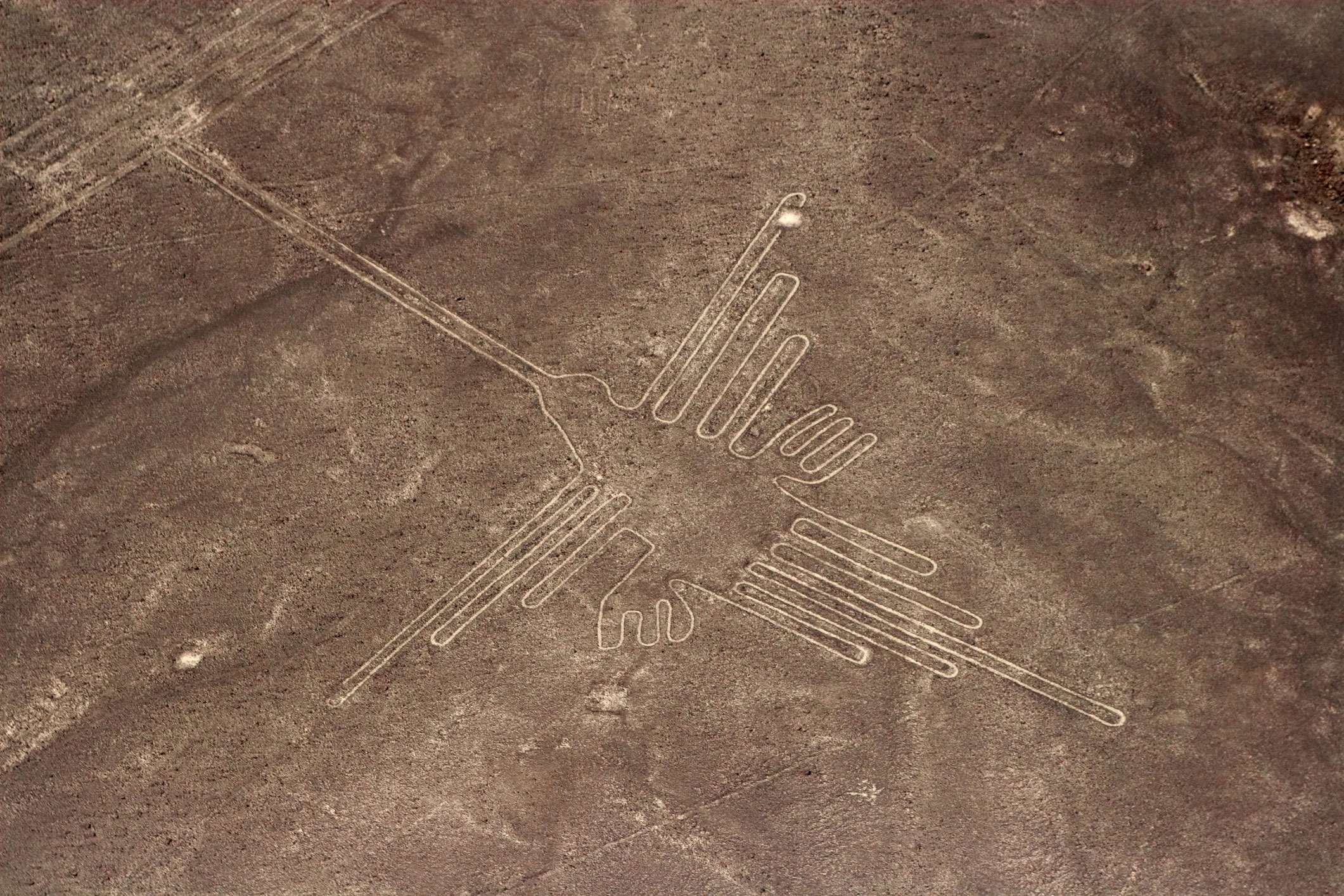 Amazing Nazca Homage Pictures & Backgrounds