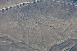 Nazca #15