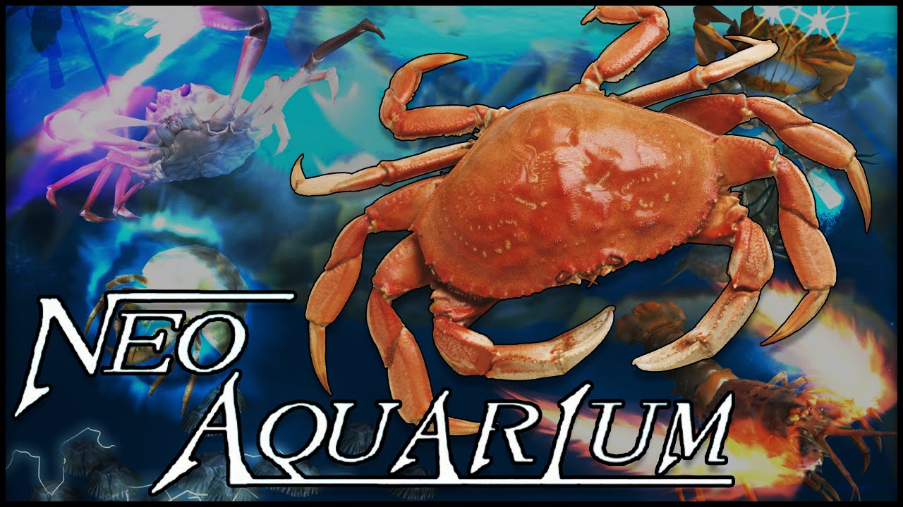 Images of NEO AQUARIUM - The King Of Crustaceans - | 1280x720