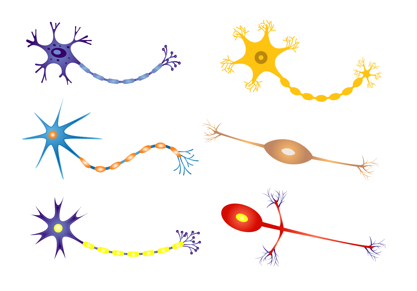 Neuron Backgrounds on Wallpapers Vista