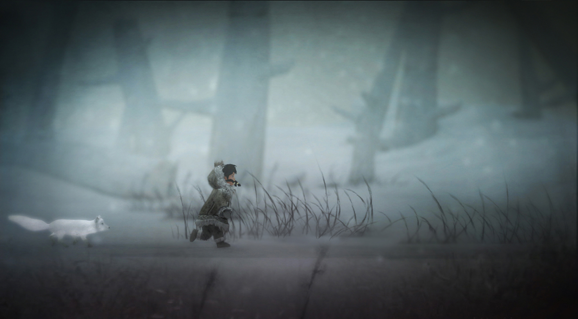 Never Alone Pics, Video Game Collection