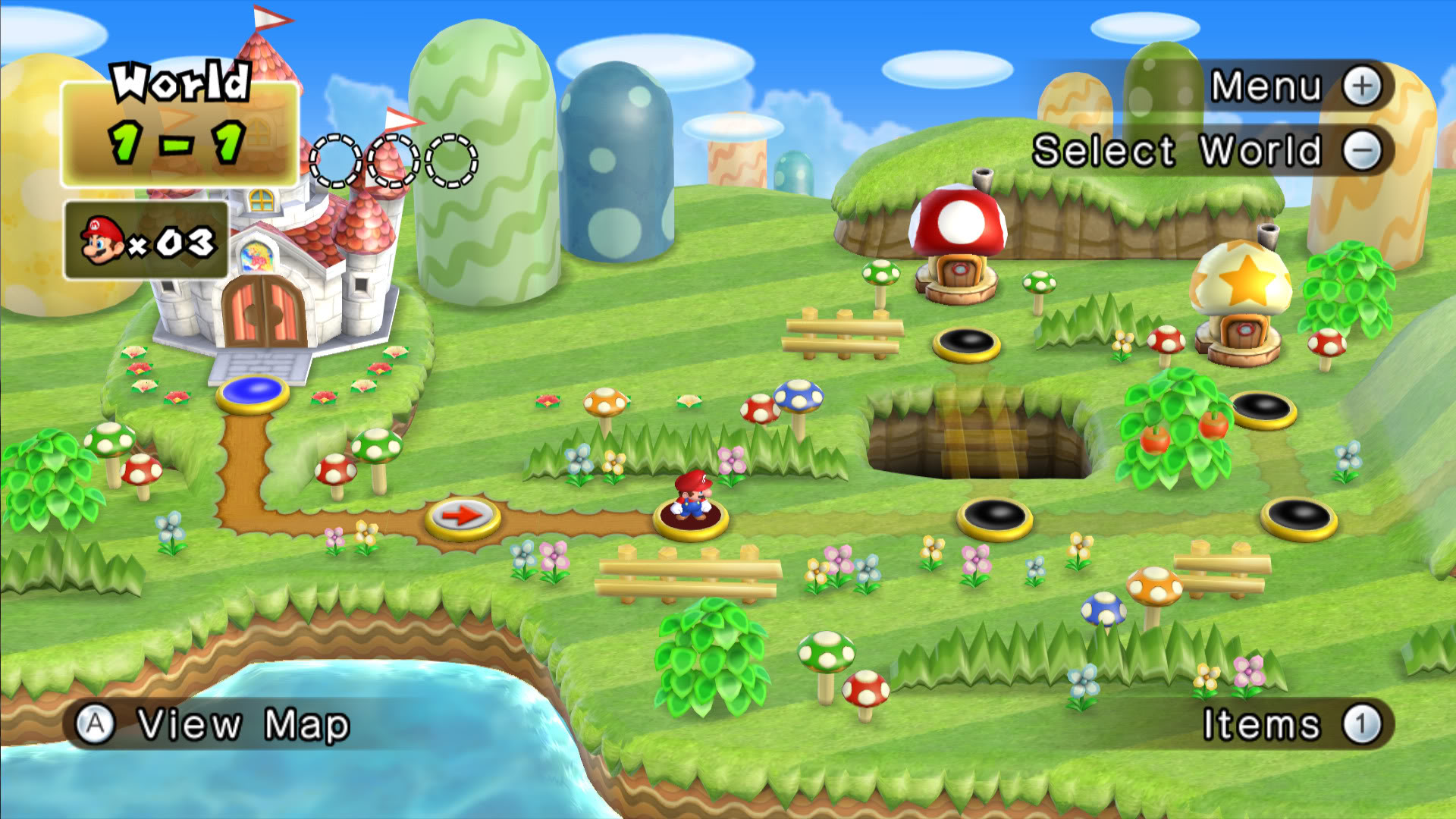 New Super Mario Bros. Wii #19