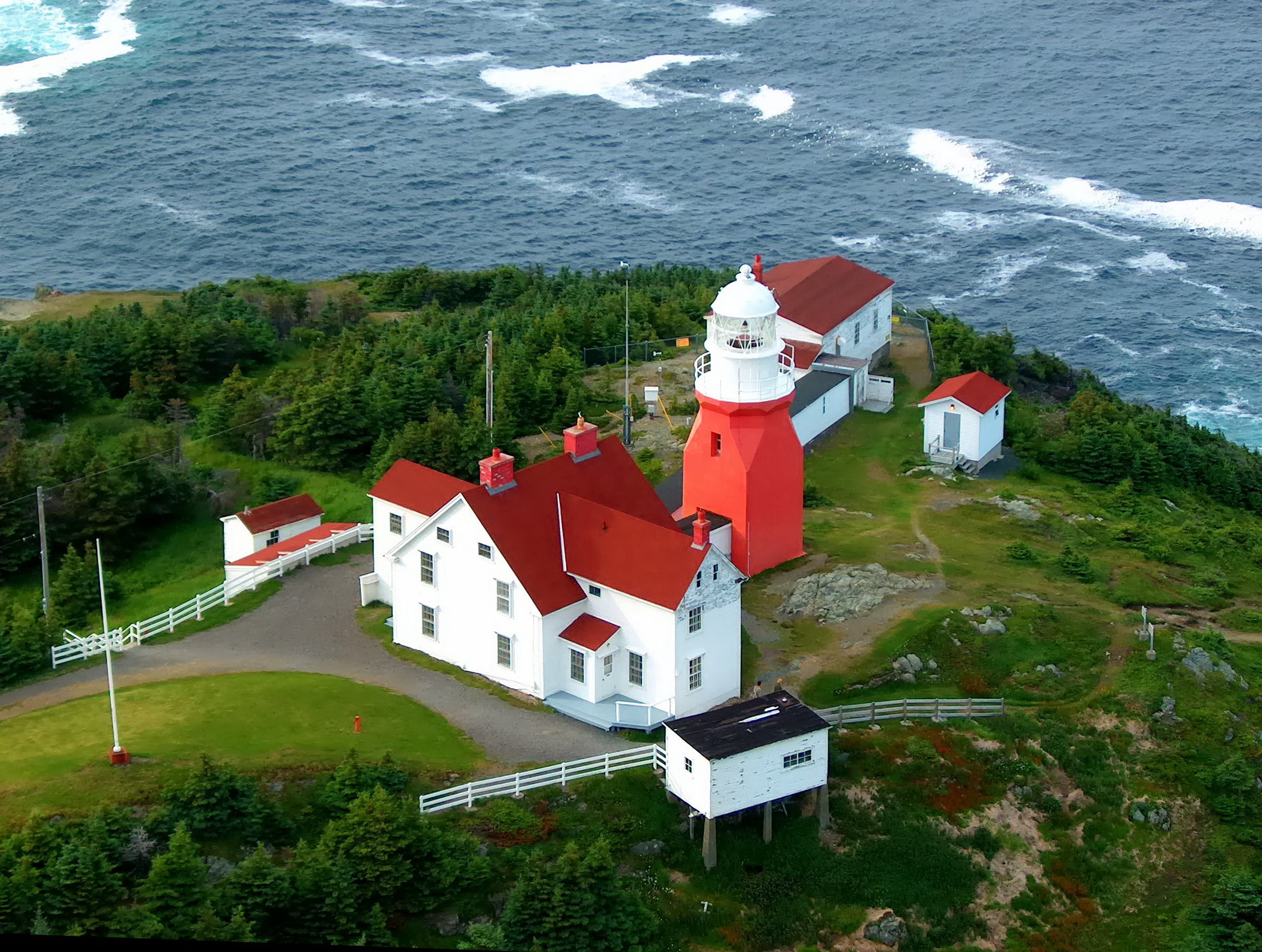 Newfoundland #7