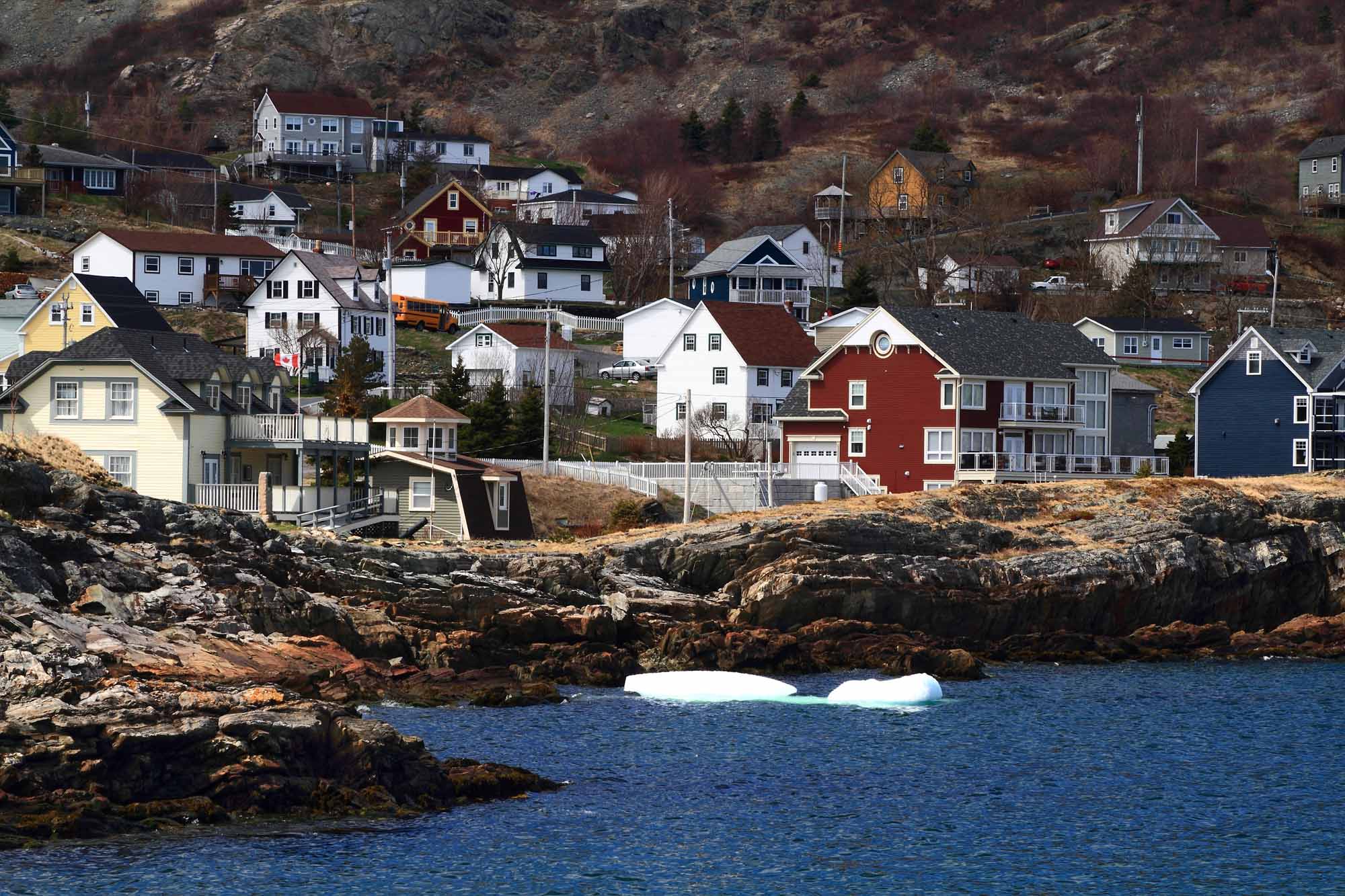 Newfoundland #4