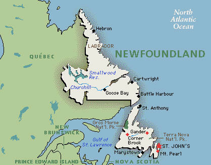 Newfoundland #17