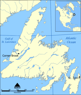 Newfoundland #11
