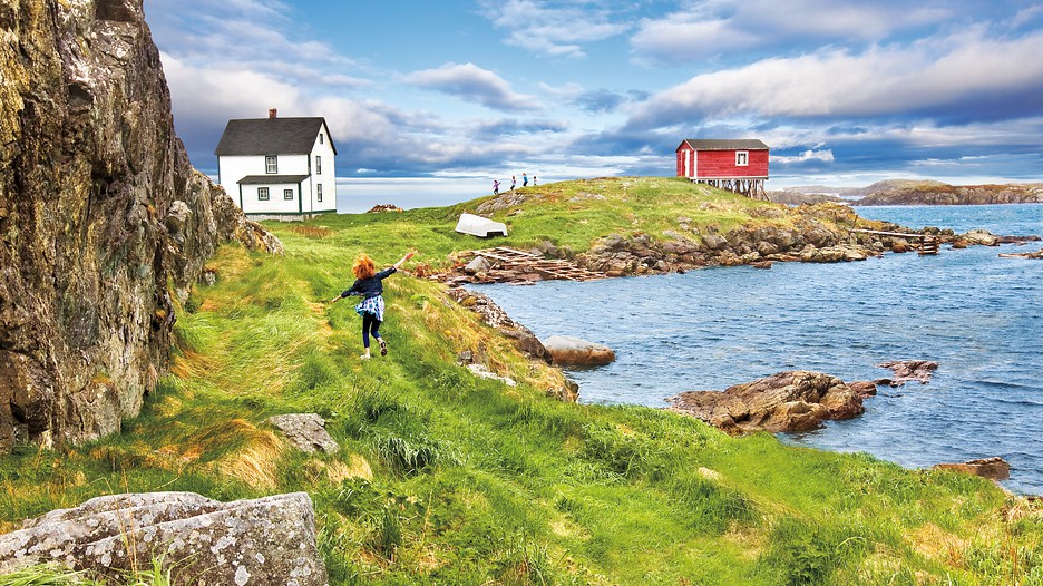 Newfoundland #19