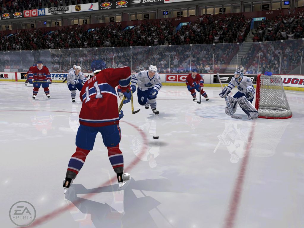 Nice wallpapers NHL 06 1024x768px