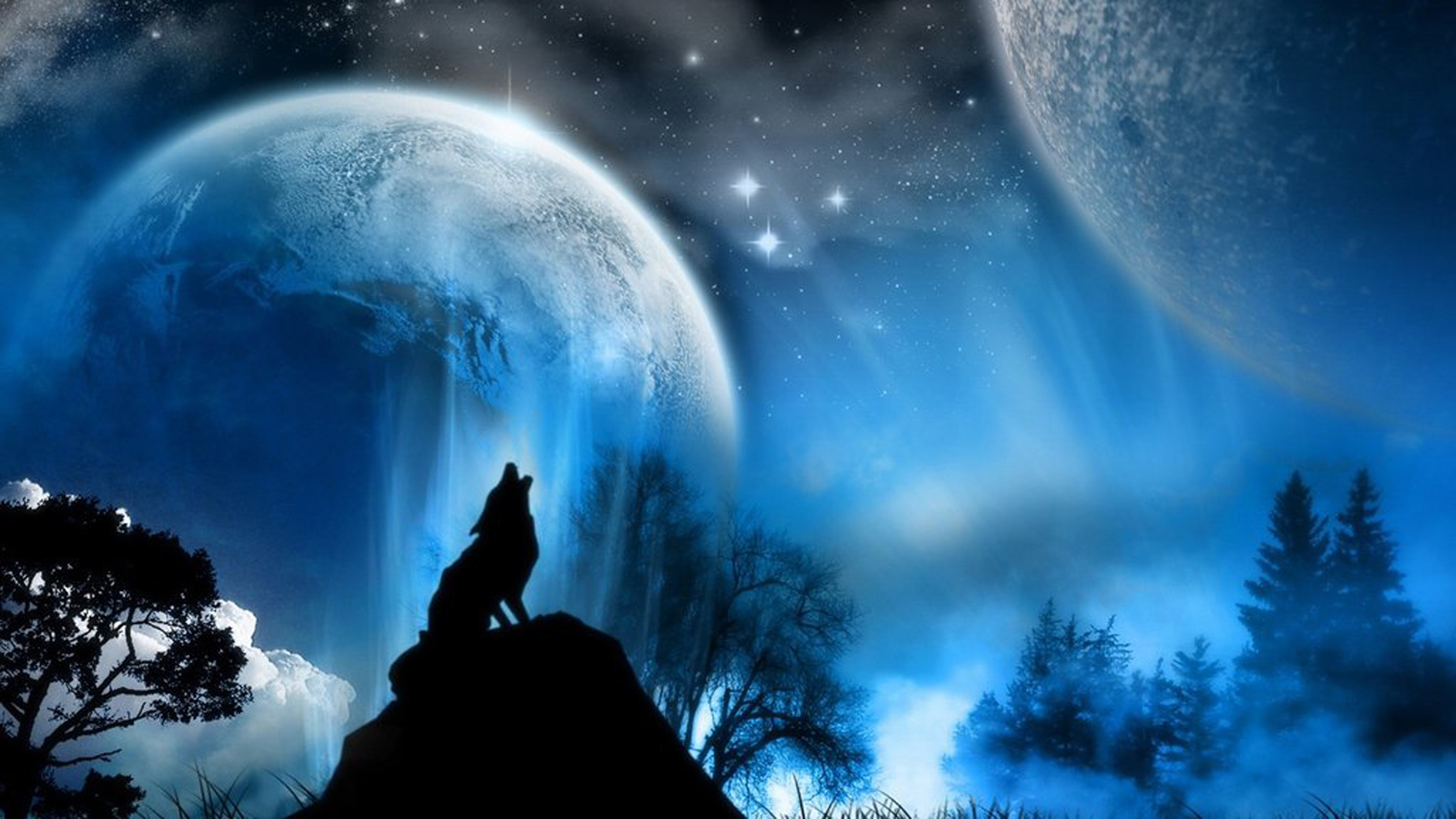 Night Wolf Backgrounds on Wallpapers Vista