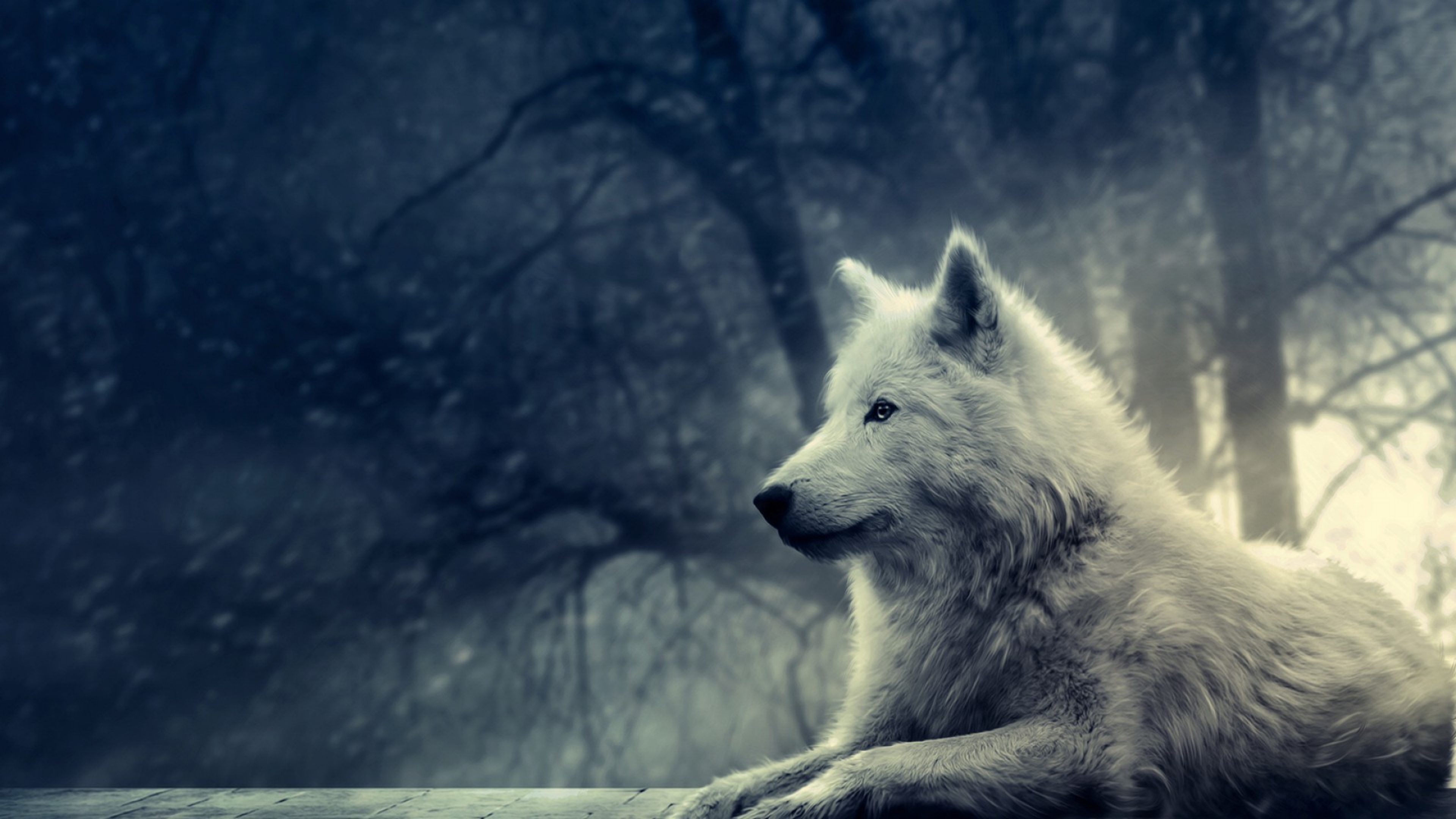 Night Wolf #5