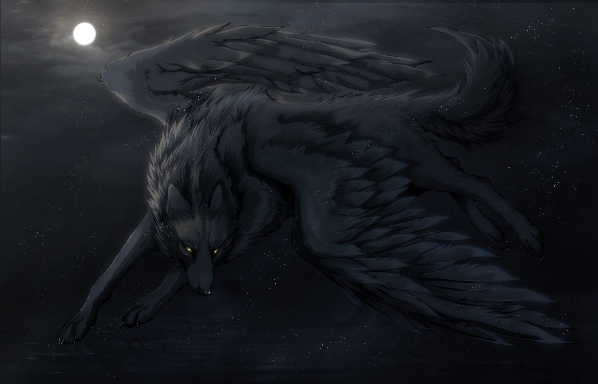 Night Wolf Backgrounds on Wallpapers Vista