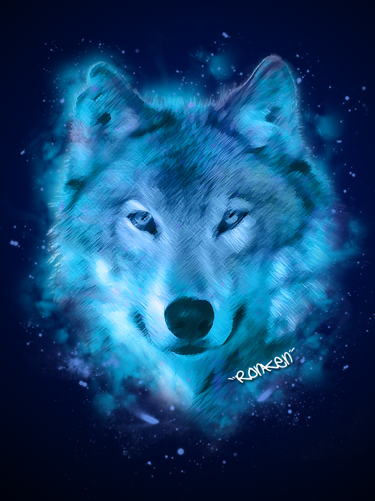 Night Wolf High Quality Background on Wallpapers Vista