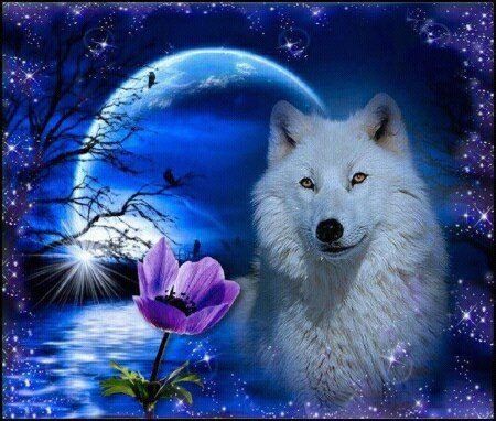 Night Wolf #12