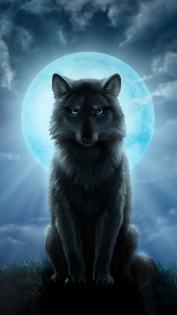 Amazing Night Wolf Pictures & Backgrounds