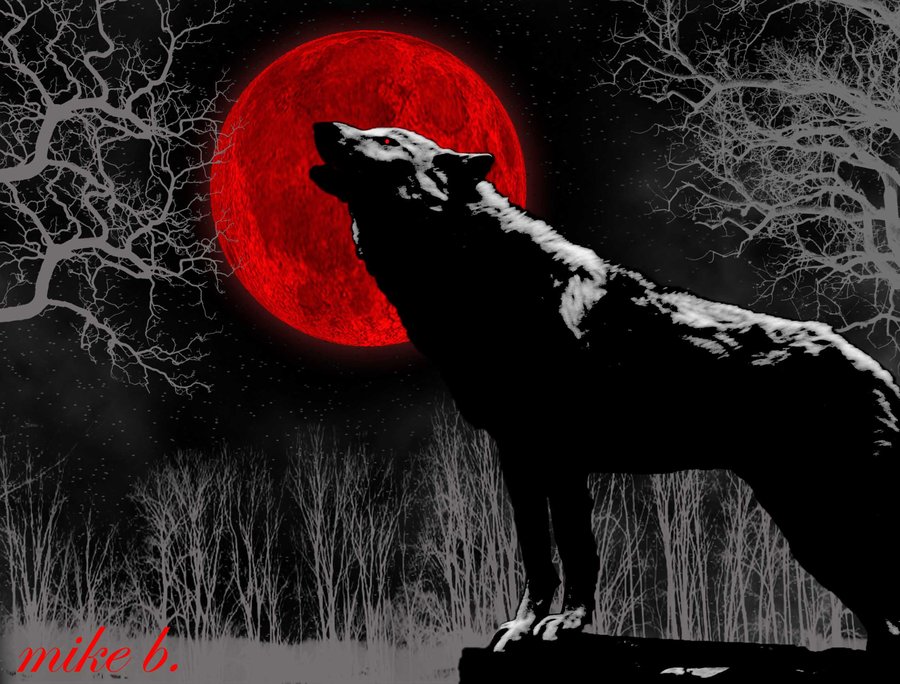 Night Wolf #14