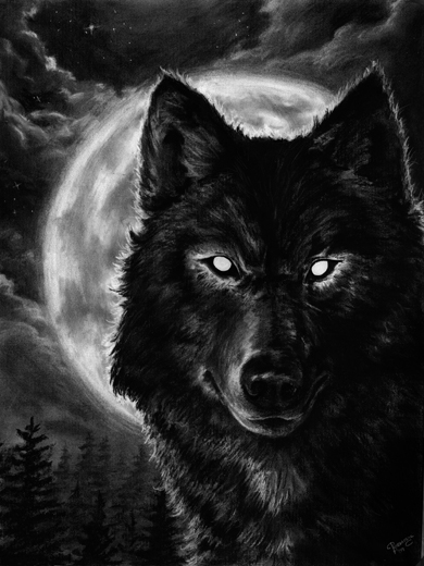 Images of Night Wolf | 390x520