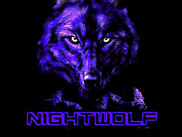 600x450 > Night Wolf Wallpapers