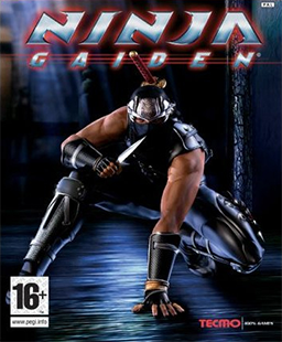 Nice wallpapers Ninja Gaiden Black 256x310px