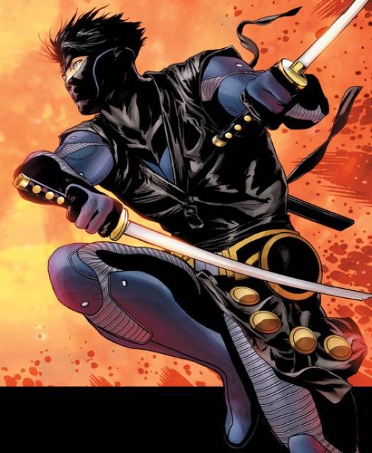 Images of Ninjak | 525x640