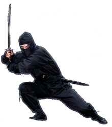 Ninjas Backgrounds on Wallpapers Vista