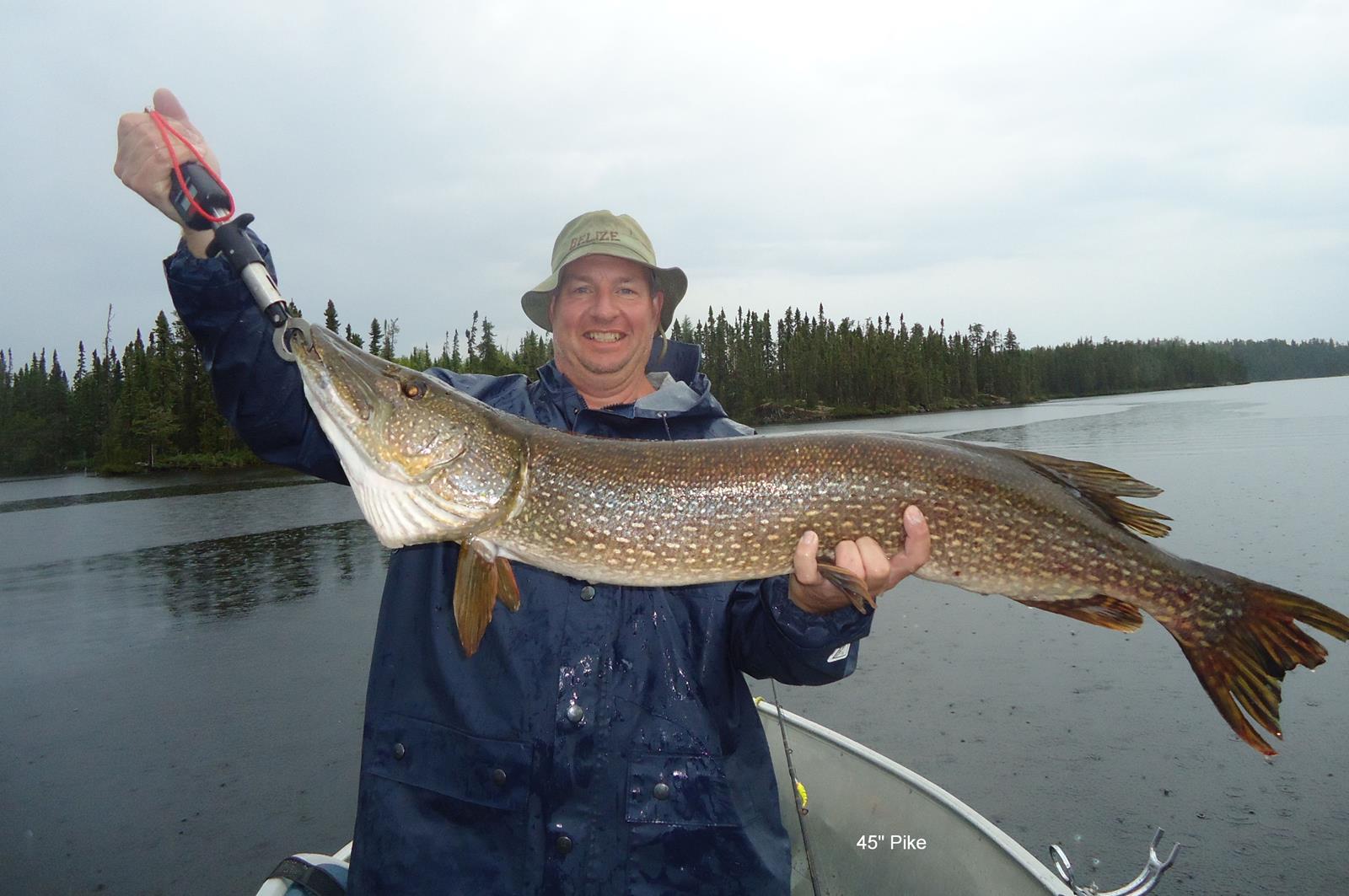 Northern Pike Backgrounds, Compatible - PC, Mobile, Gadgets| 1600x1063 px