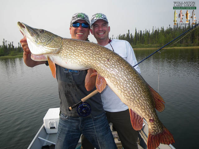 640x480 > Northern Pike Wallpapers