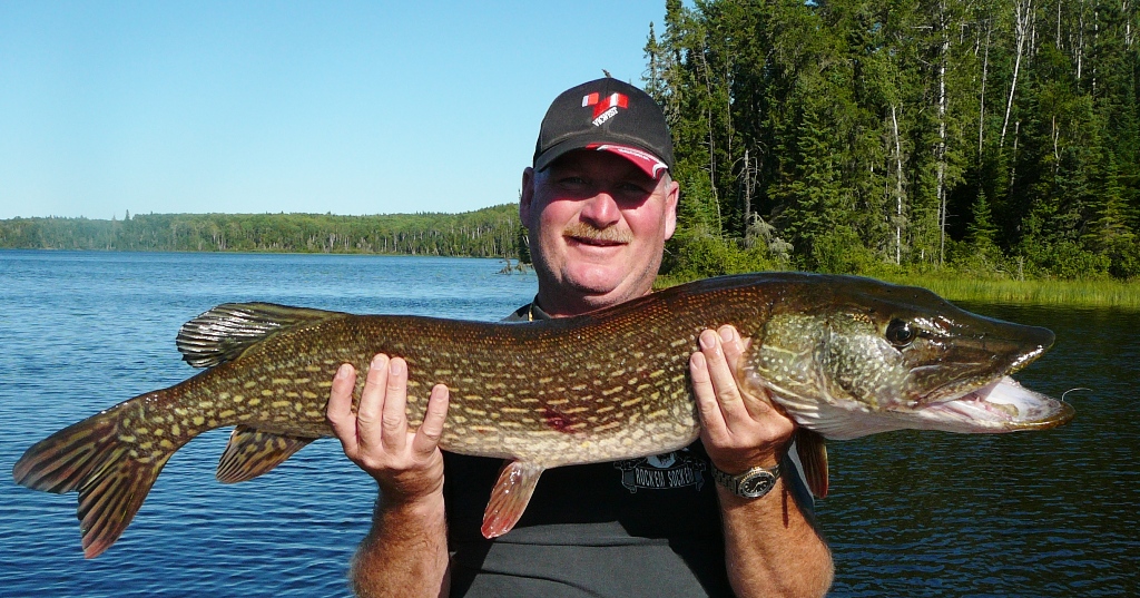 Northern Pike Backgrounds on Wallpapers Vista