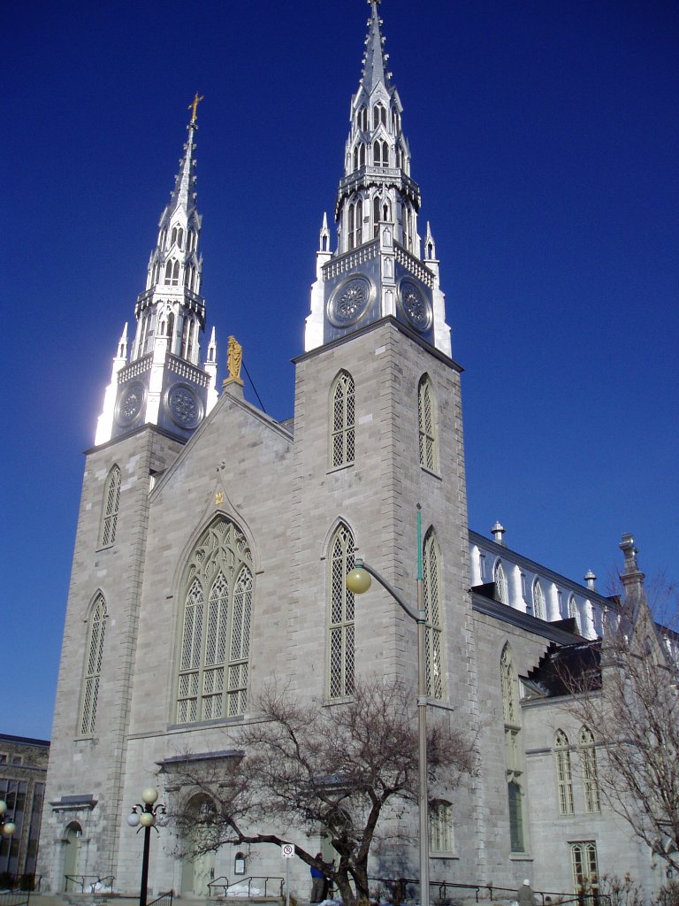 Notre-Dame Cathedral Basilica Backgrounds on Wallpapers Vista