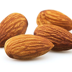 Nut High Quality Background on Wallpapers Vista