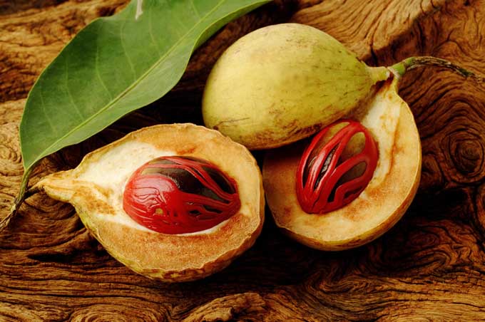 Nice Images Collection: Nutmeg Desktop Wallpapers