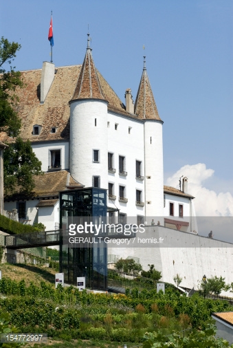 Nice wallpapers Nyon Castle 339x506px