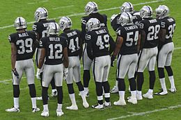 Nice wallpapers Oakland Raiders 260x173px