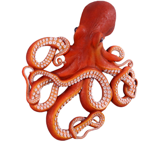 Octopus High Quality Background on Wallpapers Vista