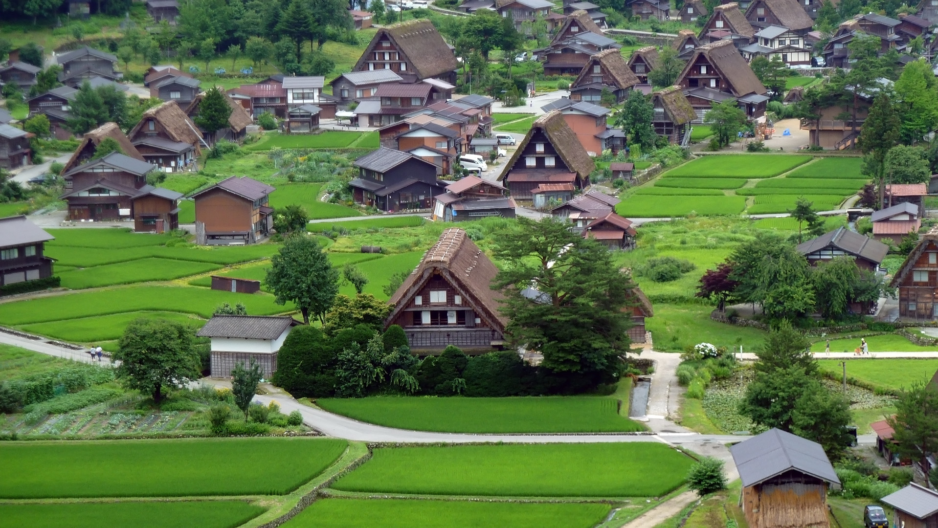 Ogimachi Village #7