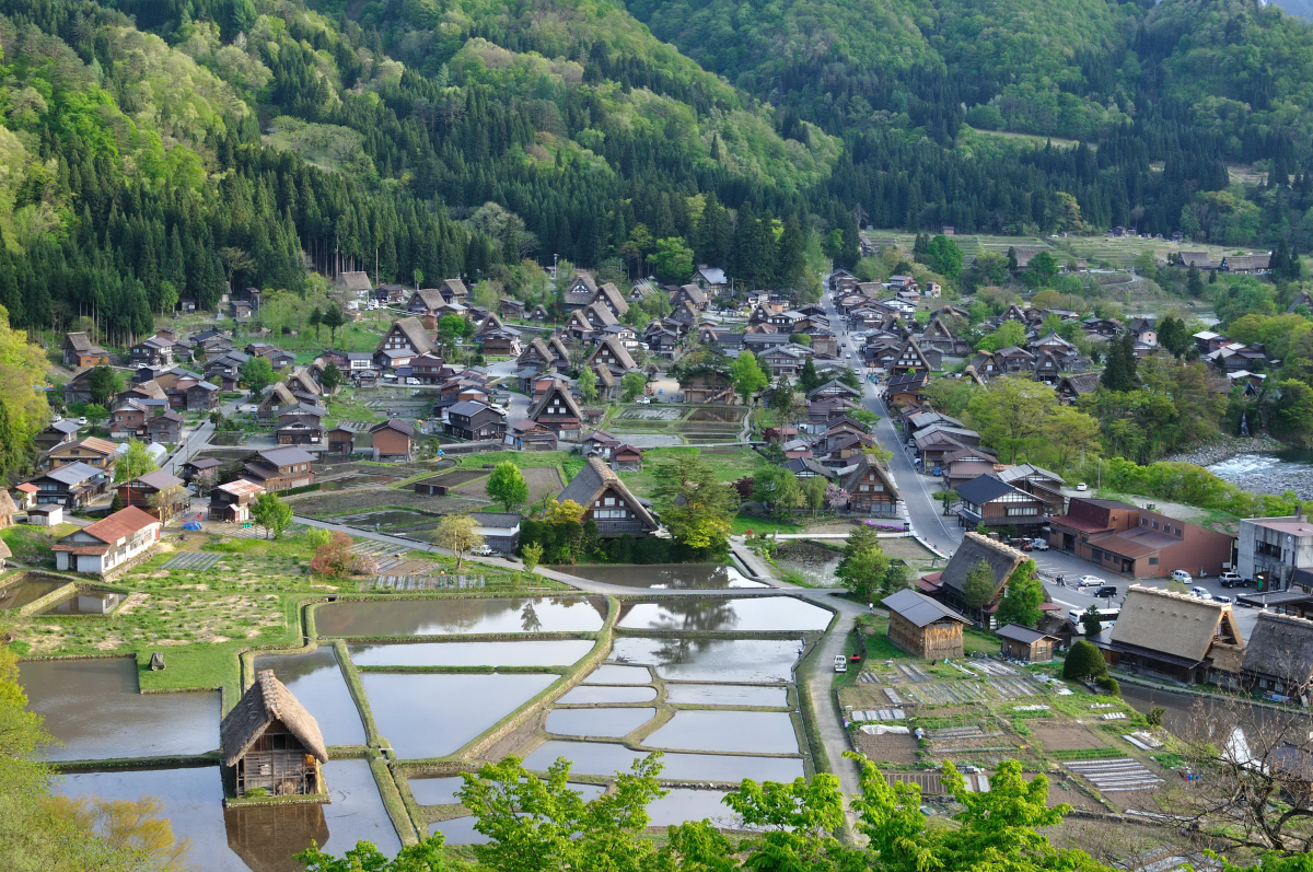 Ogimachi Village #6