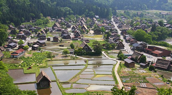 Ogimachi Village #11