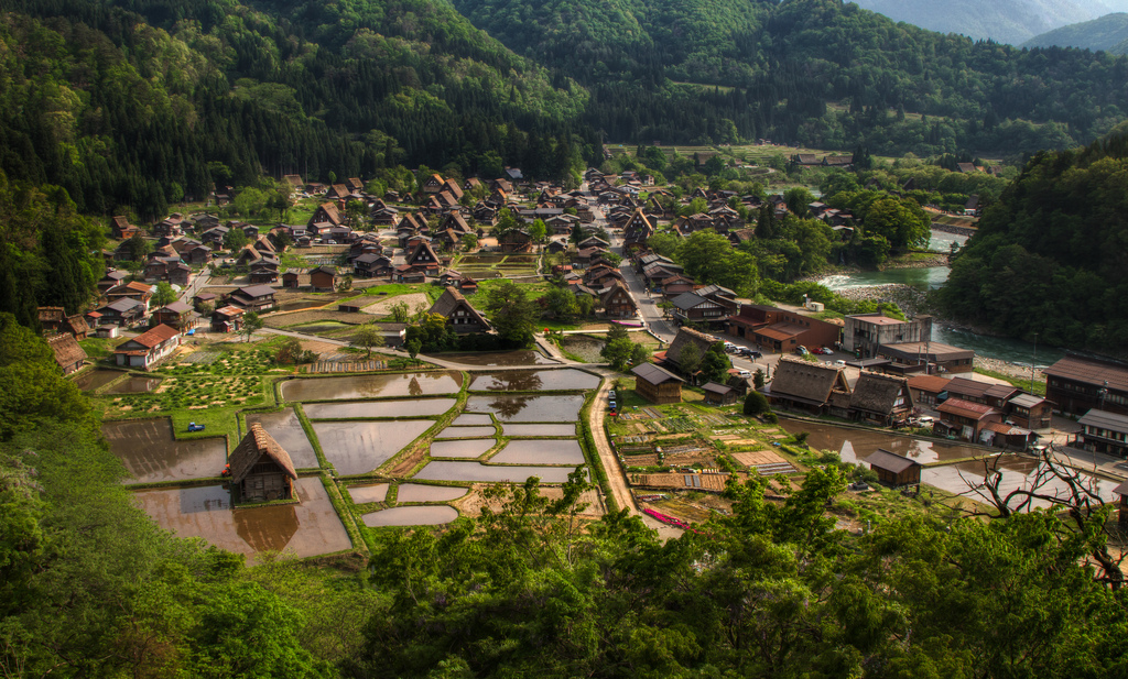 Ogimachi Village #15