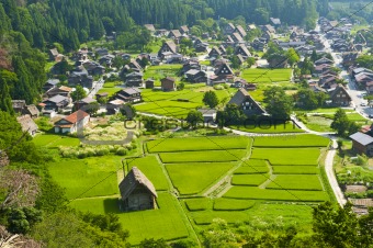 Ogimachi Village Pics, Man Made Collection
