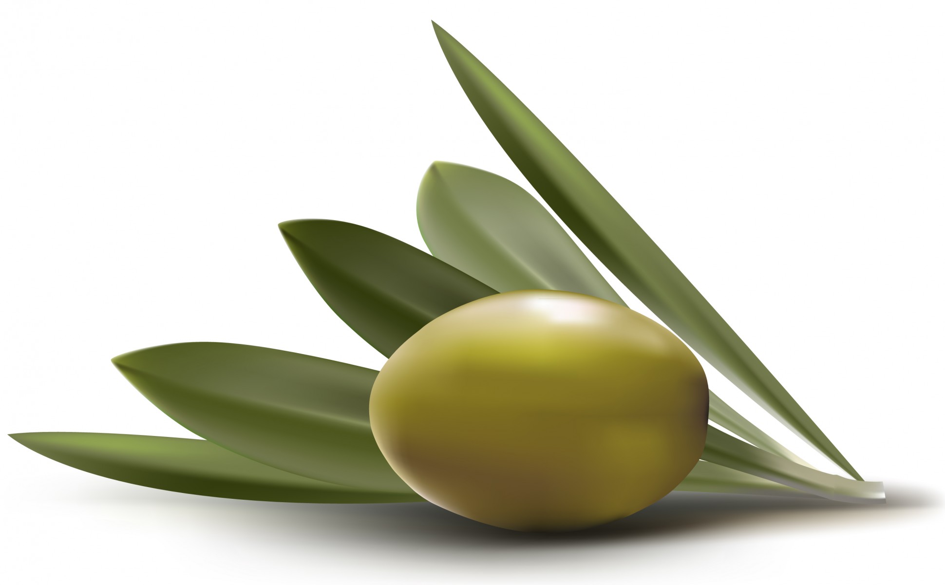 Nice wallpapers Olive 1940x1201px