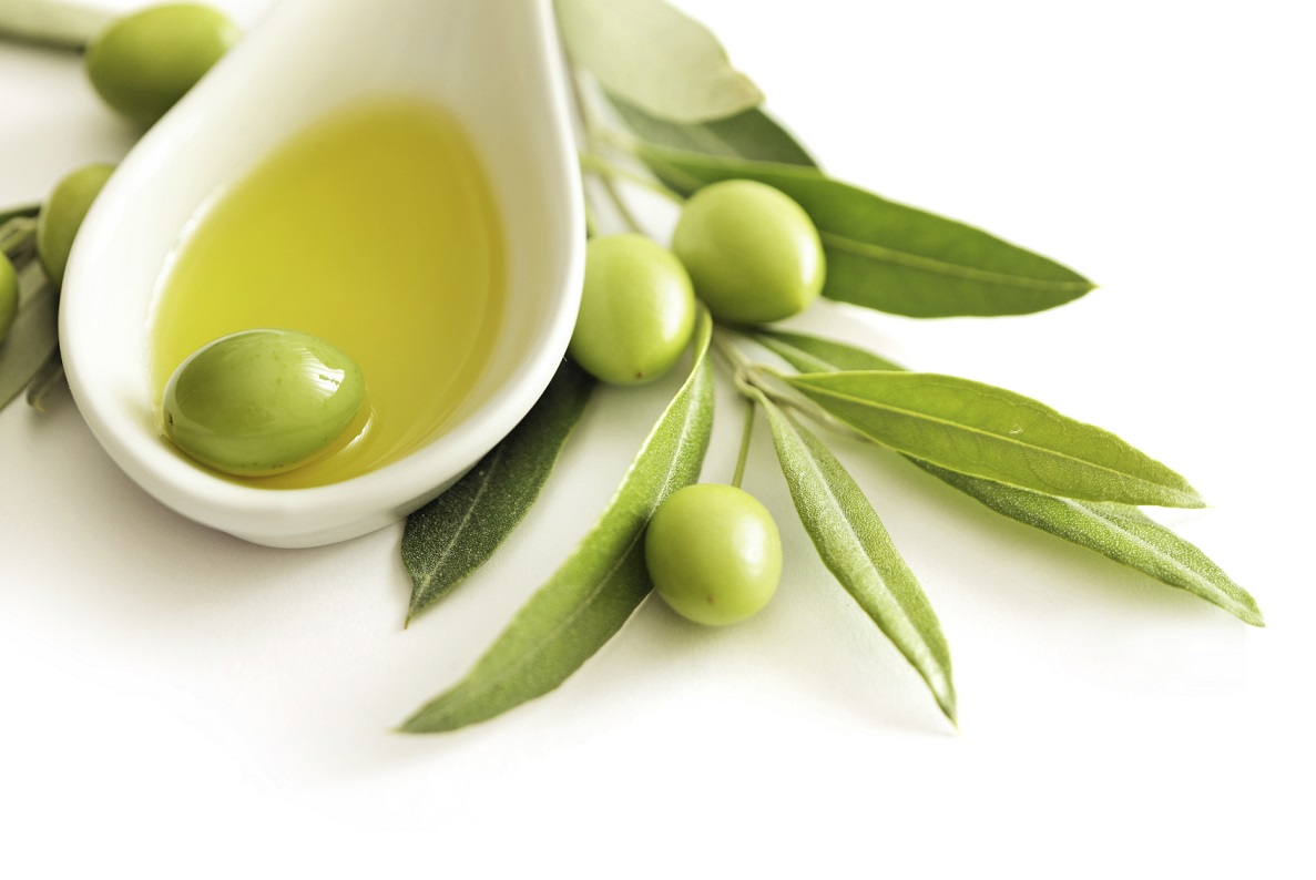 Olive High Quality Background on Wallpapers Vista