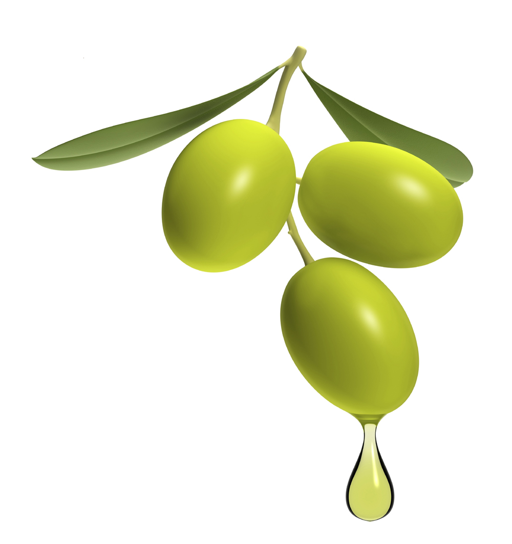 Images of Olive | 1000x1062
