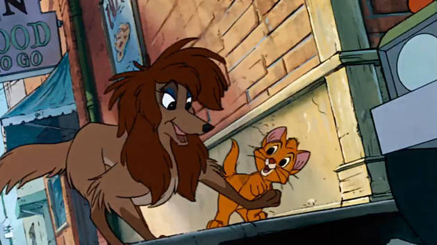 629x354 > Oliver & Company Wallpapers