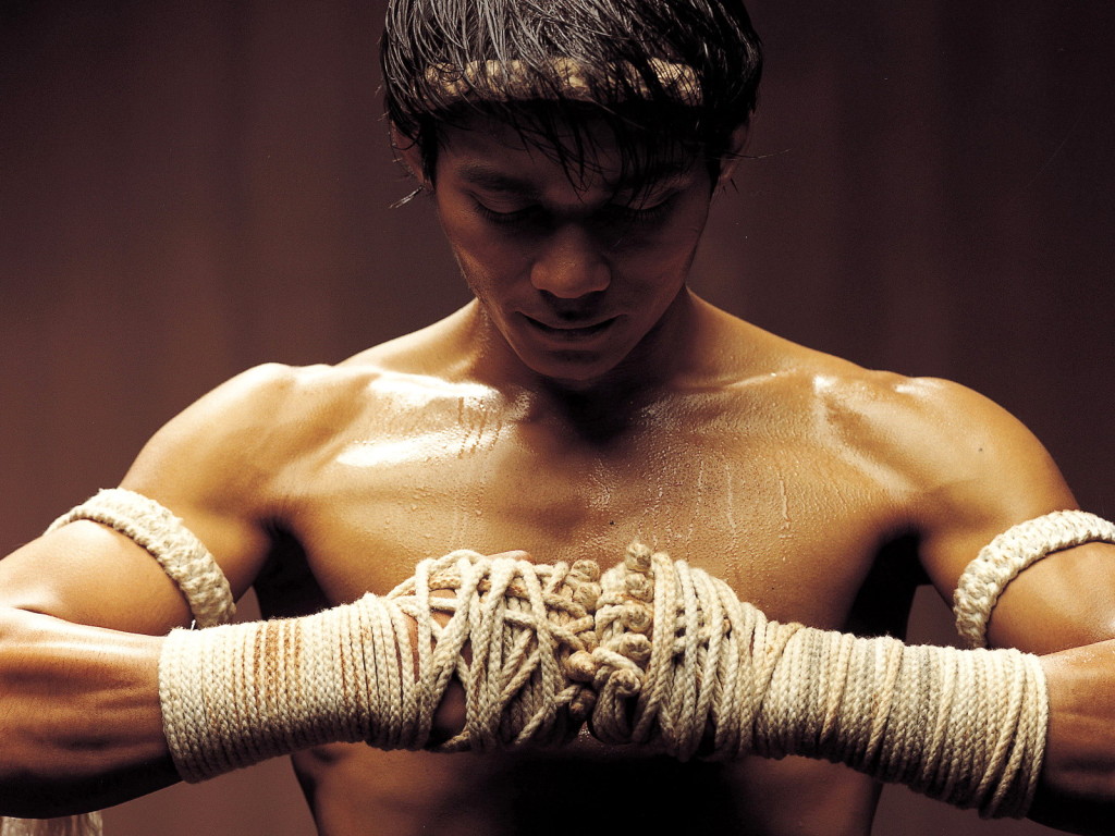 Tony Jaa Backgrounds, Compatible - PC, Mobile, Gadgets| 1024x768 px