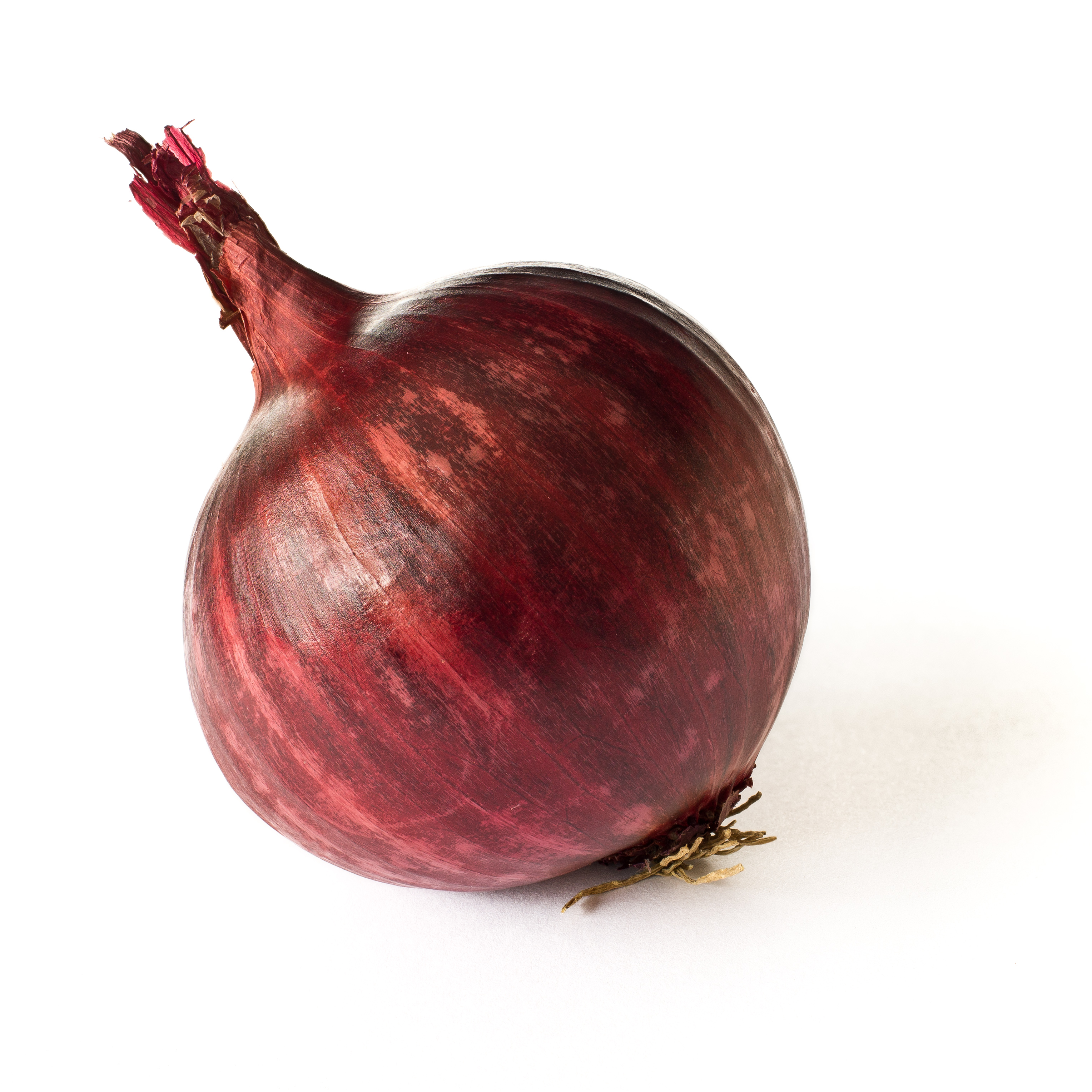 Images of Onion | 3056x3056
