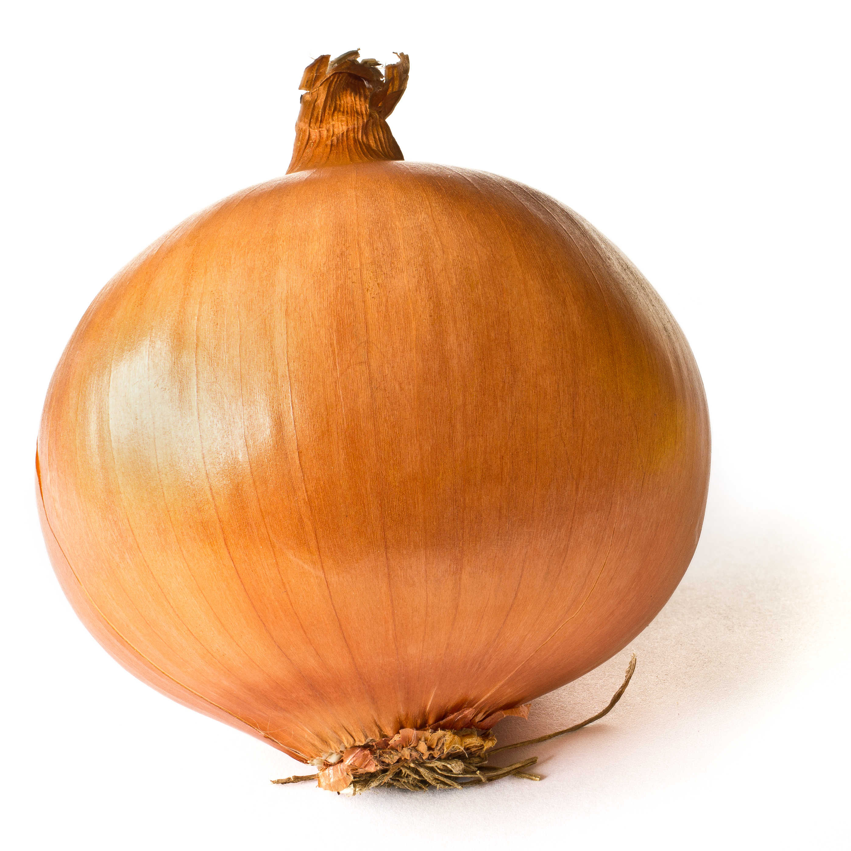 Nice Images Collection: Onion Desktop Wallpapers