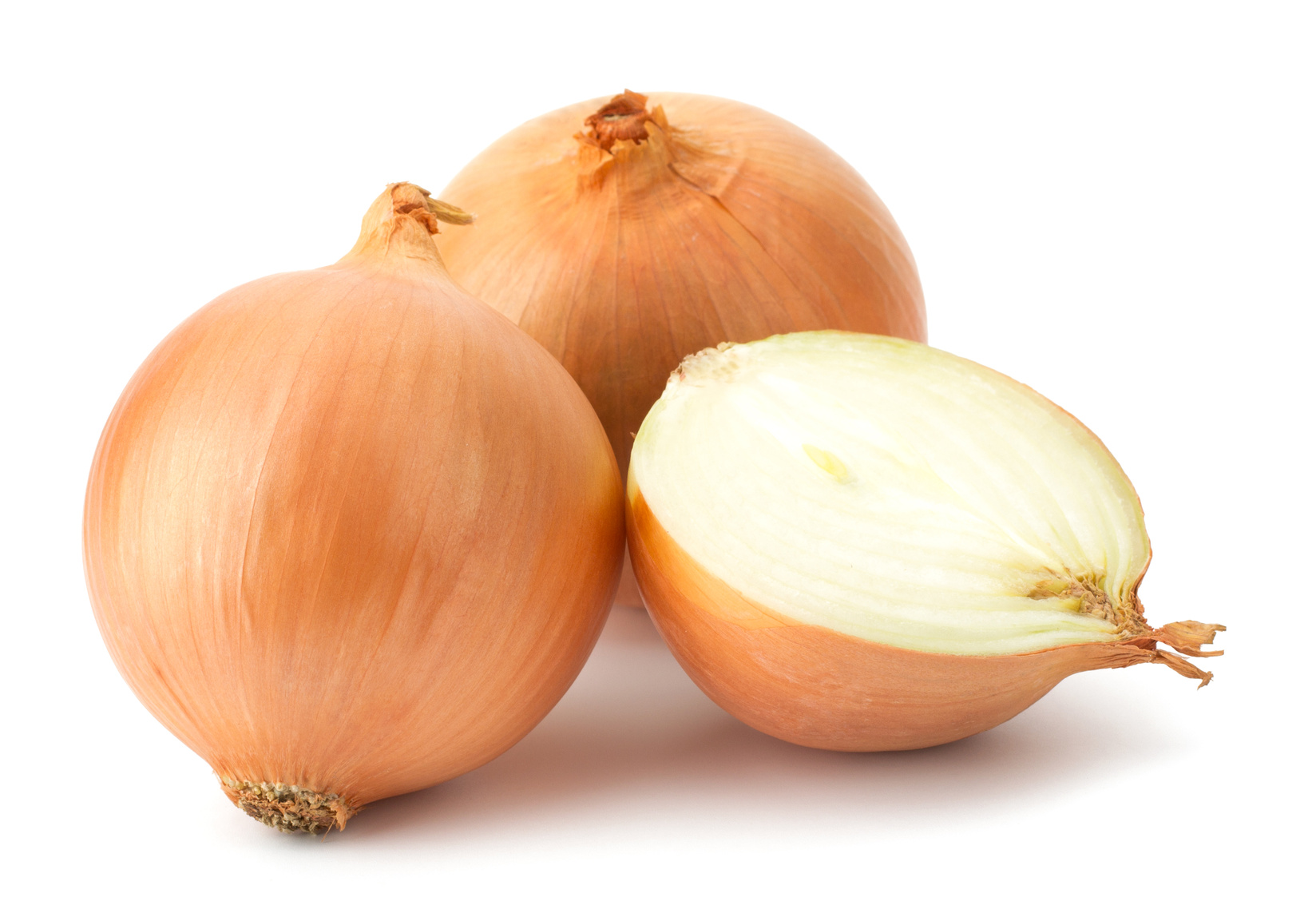 Nice wallpapers Onion 1648x1153px