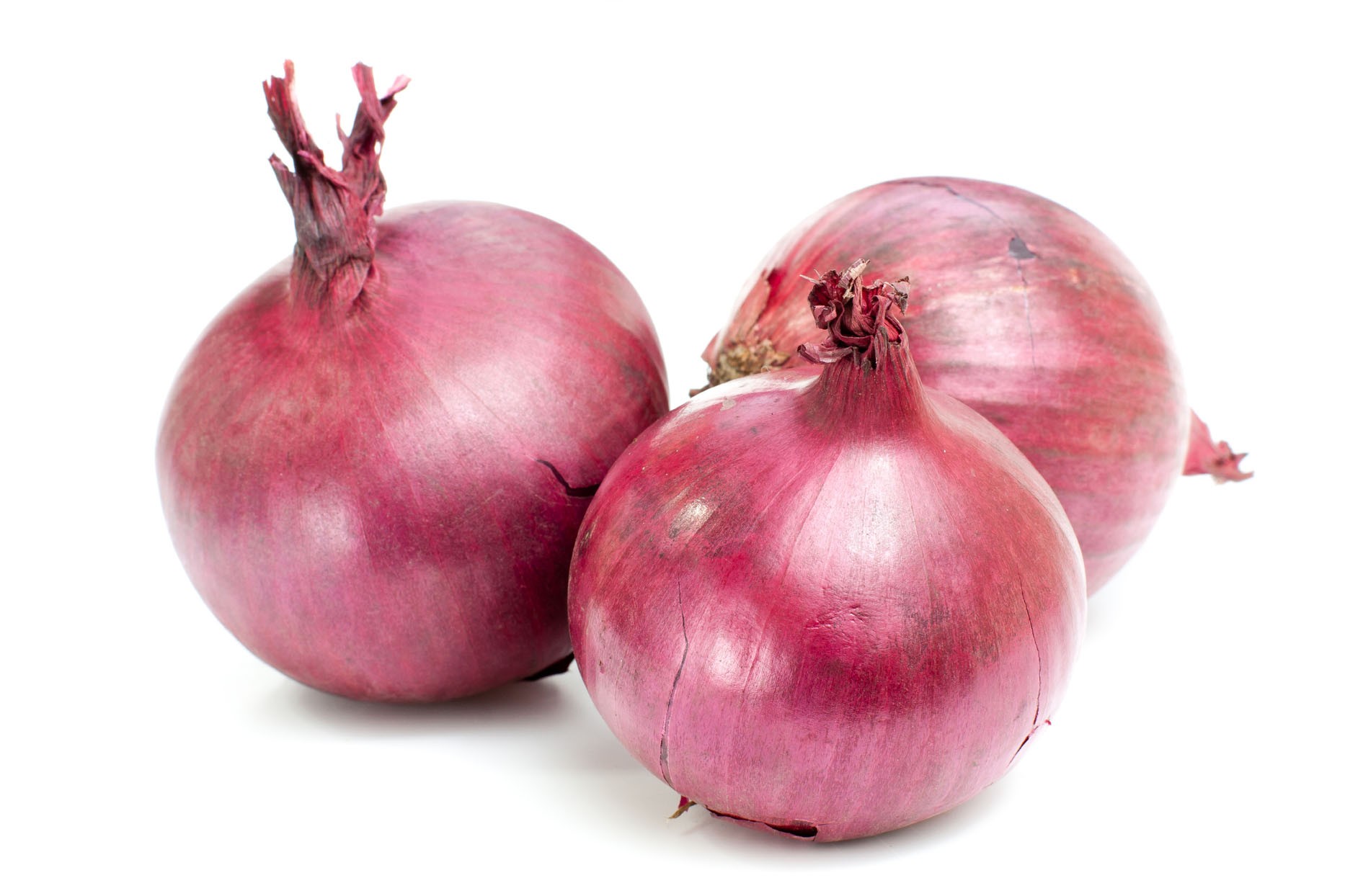 1866x1244 > Onion Wallpapers