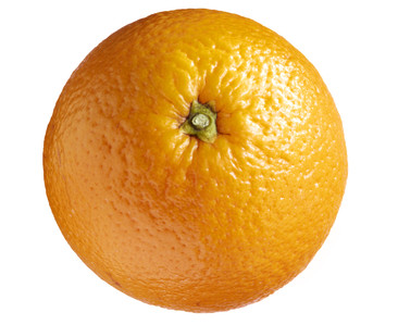 Orange #19
